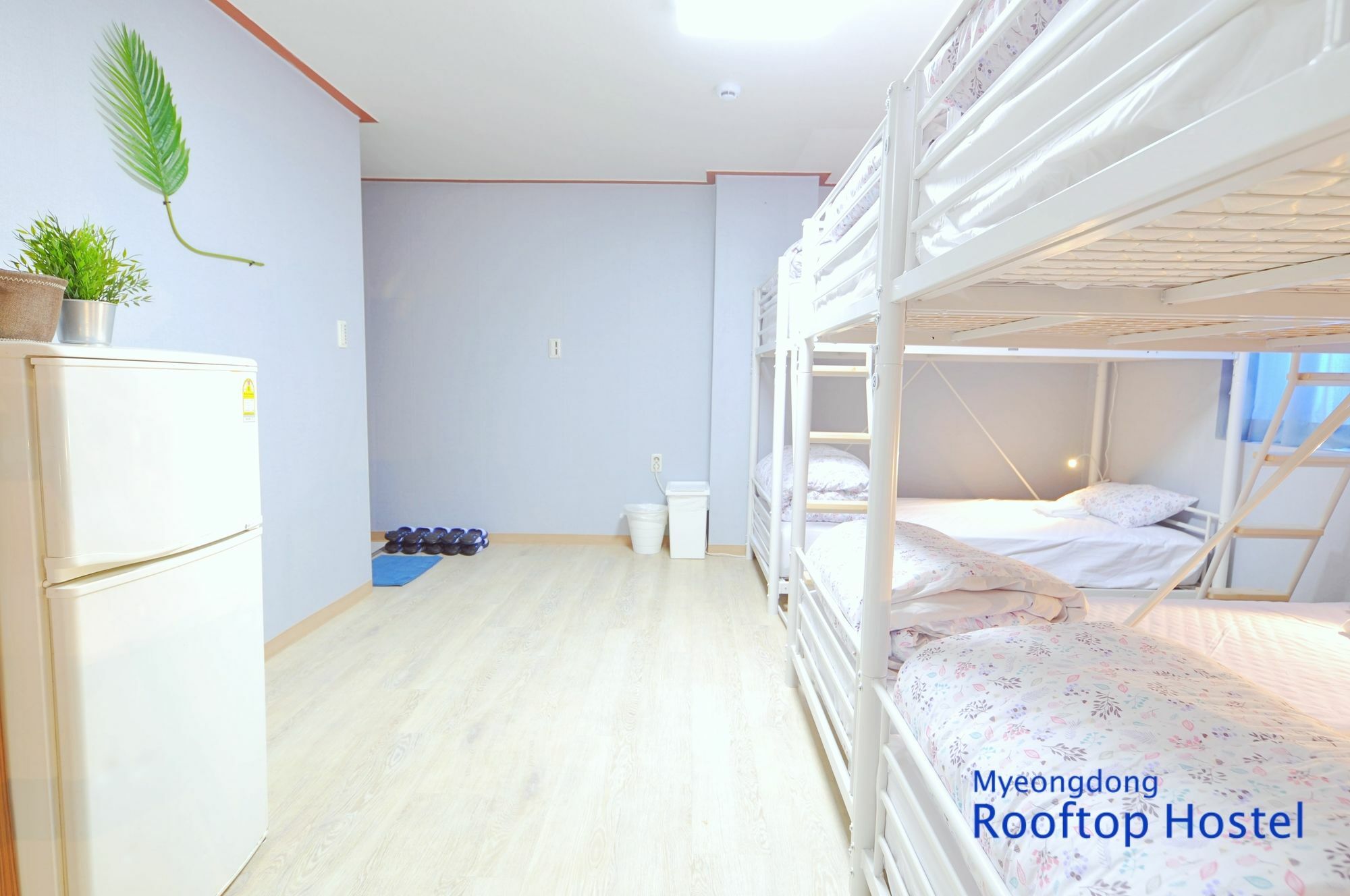 Myeongdong Rooftop Hostel Seoul Exterior photo